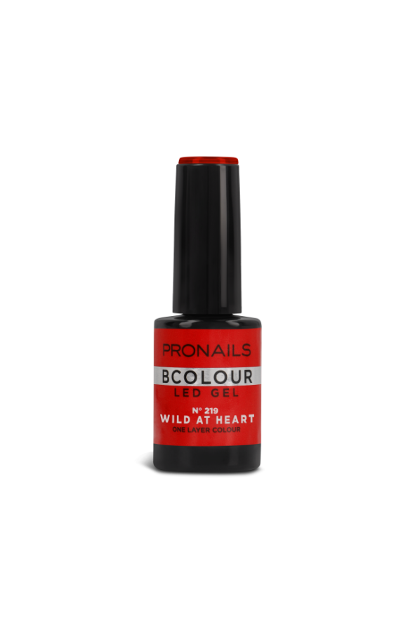 BColour Box Haute Nature AW23/24 - 8 pcs